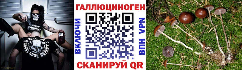 Псилоцибиновые грибы прущие грибы  Калач 